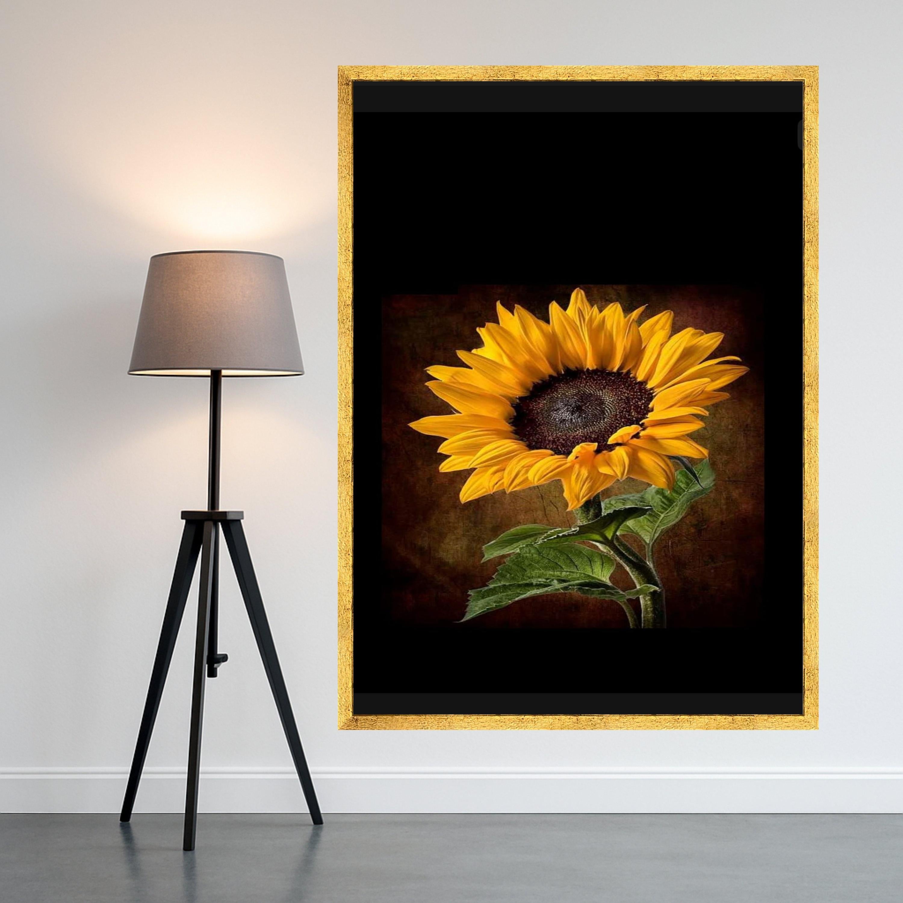 Dark Sunflower Canvas Print – Realistic Floral Wall Art, Ready to Hang Botanical Wall Decor for Living Room or Office